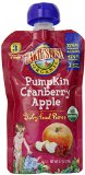 Earth's Best Organic Stage 3, Pumpkin, Cranberry & Apple, 4.2 Ounce Pouch (Pack of 12)