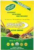 Organic Food Bar, Active Greens, 2.4 Ounce (Pack of 12)